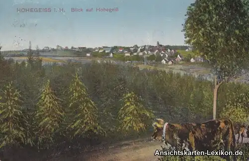 Ansichtskarte Hohegeiß-Braunlage Blick auf Hohegeiß 1927