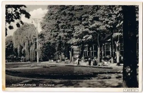 Ansichtskarte Bad Altheide Polanica-Zdrój Im Kurpark c1940