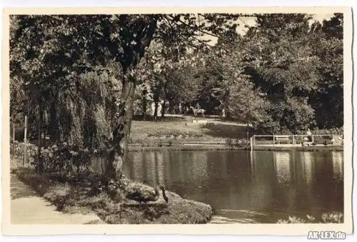 Timmendorfer Strand Kurpark - Foto Ak ca. 1940