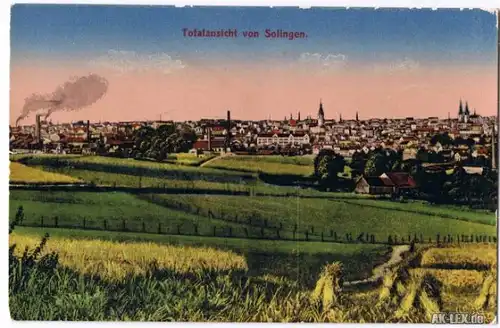 Ansichtskarte Solingen Totalansicht 1920