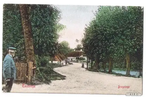 Bregninge (Taasinge) Ortsansicht ca. 1910