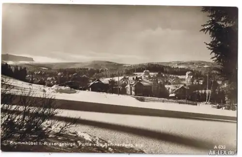 Krummhübel Partie vom Bernhardweg aus . ca1925 im Winter