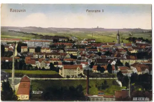 Roßwein Panorama ca. 1918