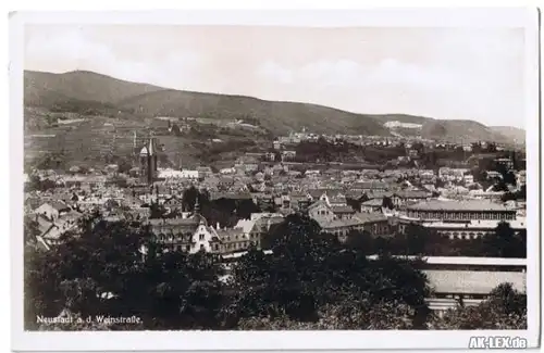 Neustadt (Weinstraße) Panorama-Ansicht  ca. 1930 Foto AK