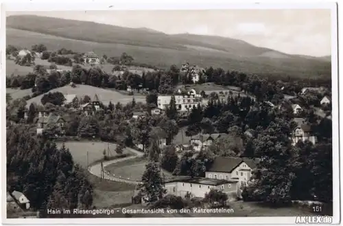 Hain Gesamtansicht von den Katzensteinen ca. 1935 - Foto