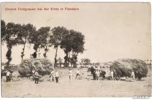 Unsere Feldgrauen bei der Ernte in Flandern - WK I