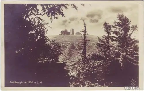 Titisee-Neustadt Feldbergturm 1500 m ü. M. ca. 1930