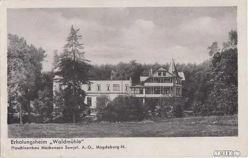 Magdeburg Erholungsheim "Waldmühle" Ansichtskarte 1955