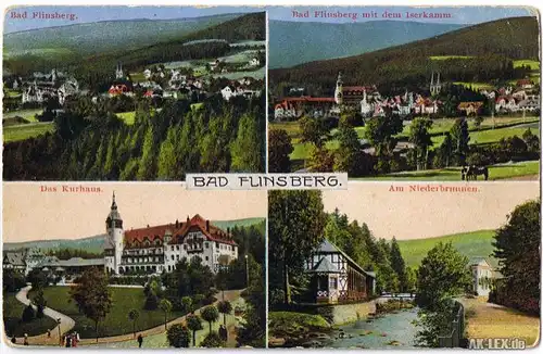 Bad Flinsberg 4 Bild ua. Kurhaus ca. 1918