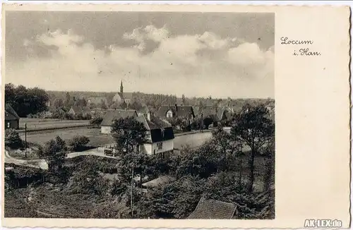 Rehburg-Loccum Panorama - Ansicht  gel. 1940