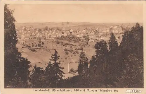 Freudenstadt Höhenluftkurort ca. 1920