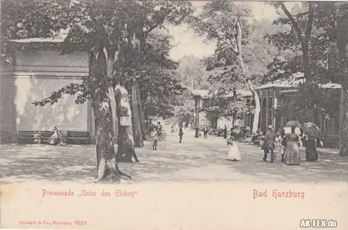 Bad Harzburg Promenade "Unter den Eichen" ca. 1910