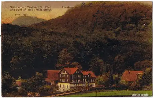 0 Wolbrecht´s Hotel ca. 1925