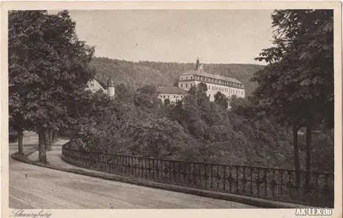 Ansichtskarte Schwarzburg Schloß Schwarzburg - von der T