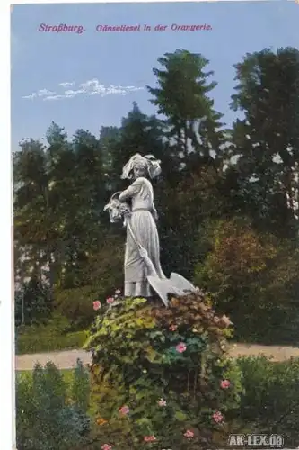 Straßburg Gänseliesel in der Orangerie gel. 1915