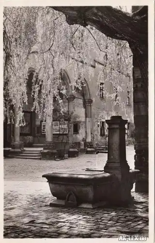 Heidelberg Morgensonne im Schloßhof ca 1937