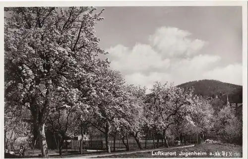 Seeheim-Jugenheim Panoram -Foto AK ca. 1935