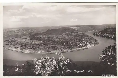 Boppard Panorama - Foto AK ca 1937