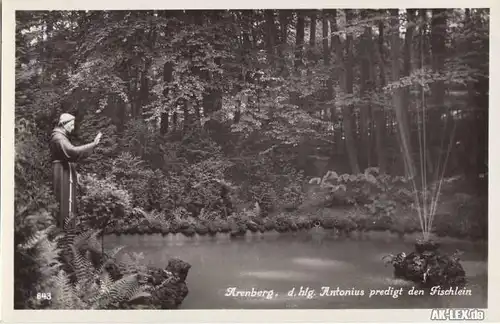 Arenberg :: Koblenz der heilige Antonius predigt den Fischlein - Foto AK c