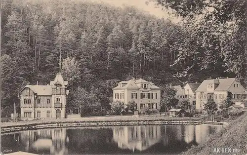 Pillnitz Friedrichsgrund gel. 1912