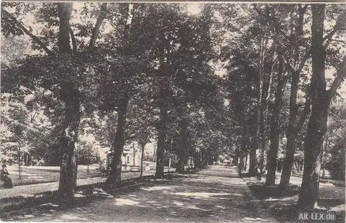 Baden-Baden Lichtenthaler Allee ca 1914