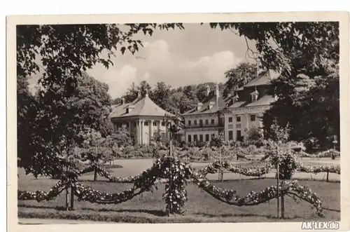 Ansichtskarte Pillnitz Schloß und Park - Foto AK 1956