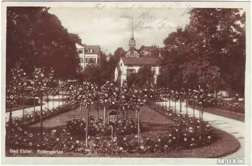 Bad Elster Rosengarten - Foto Ansichtskarte