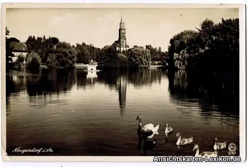 Neugersdorf Partie am Weiher mit Kirche - Foto AK