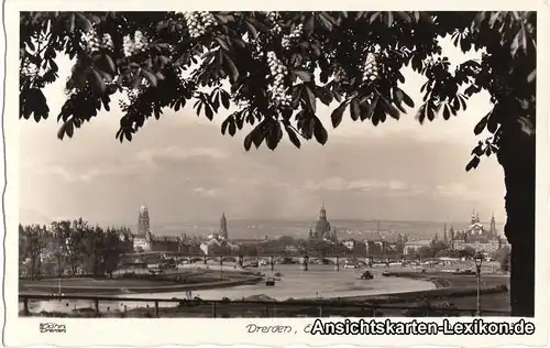 Ansichtskarte Dresden Elbansicht Blick von Osten 1939 Walter Hahn:7922