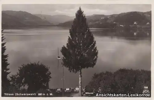 Titisee-Neustadt Panorama