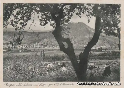 Ansichtskarte Bad Neuenahr-Ahrweiler Landskrone mit Heppingen 1940