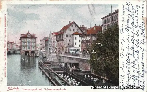 Zürich Limmatquai mit Schwanencolonie