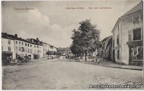 Salzburg (Lothringen) Ackerbau-Straße - Rue des Culivate