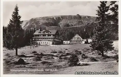 Krummhübel Schlingelbaude - Foto AK