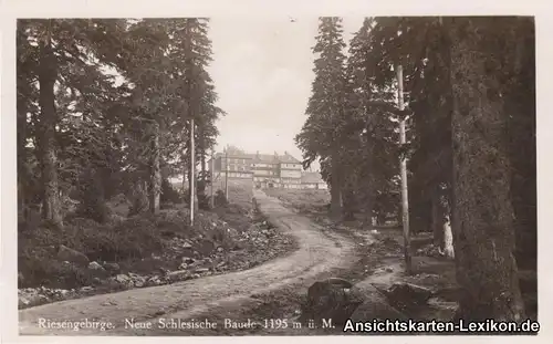 Schreiberhau Neue Schlesische Baude - 1195m - Foto AK