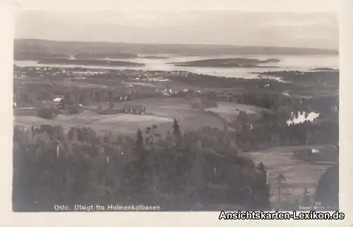 Oslo (1877-1924 Kristiania) Panorama-Umland (Utsigt fra