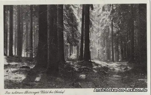 Oberhof (Thüringen) Im schönen Thüringer Wald bei Oberho