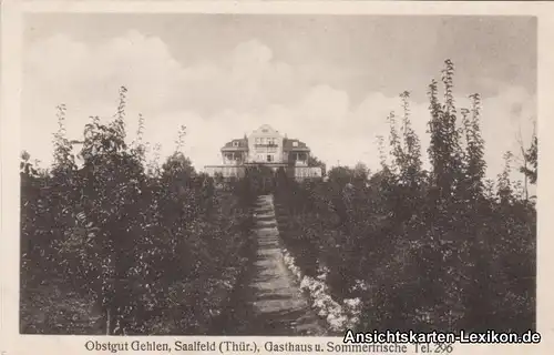 Saalfeld/Saale Obstgut Gehlen - Gasthaus und Sommerfrisc