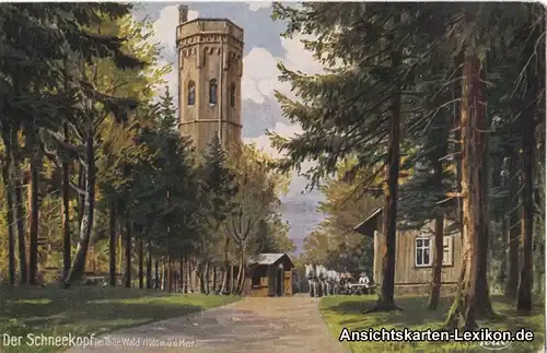 Gehlberg Aussichtsturm Schneekopf - Künstler AK