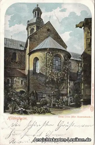 Hildesheim Dom (1000 jähriger Rosenstock)