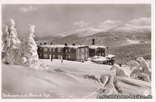 Spindelmühle Wintersonne an der Peterbaude - Foto AK