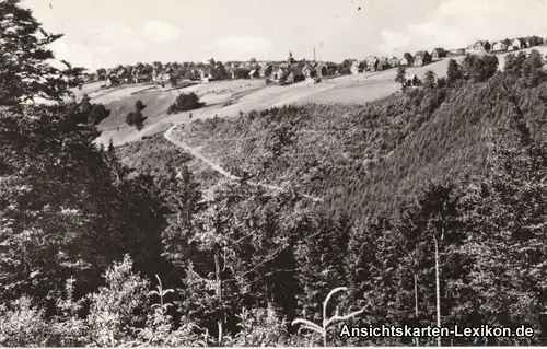 Frauenwald Panorama