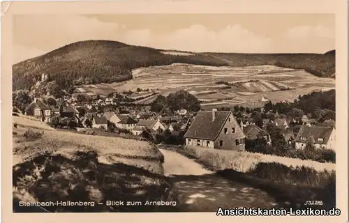 Steinbach-Hallenberg Blick zum Arnsberg
