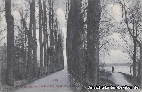 Eutin Lindenallee im Grossh. Schlossgarten Ansichtskarte 1905