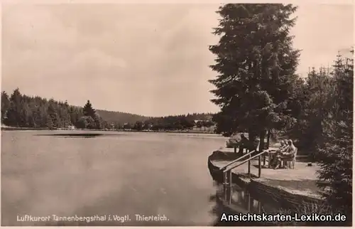 Tannenbergsthal (Vogtland) Thierteich - Foto AK