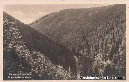 Steinach (Thüringen) Blick in das Göritztal