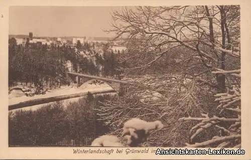 Grünwald (Oberbayern) Winterlandschaft