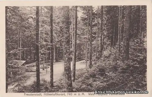 Freudenstadt Wald-Festplatz Palmenwald