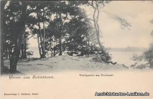 0 Gruss aus Schildhorn - Waldpartie am Denkmal