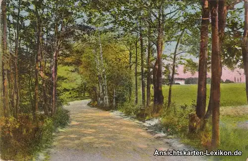 Bad Lausick Promenadenweg nach dem Geldberg und Waldfrie